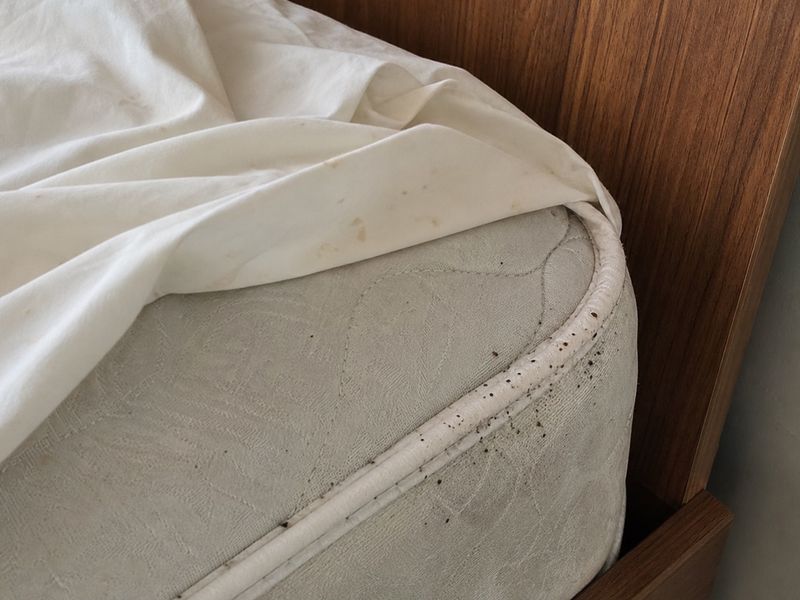 غرفة نوم في التجمع الخامس قبل معالجة بق الفراش